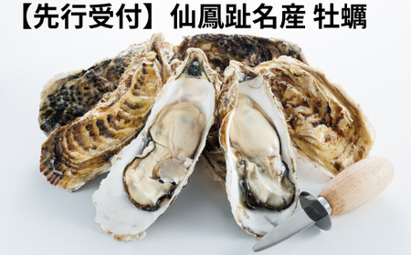 【先行受付】仙鳳趾名産 牡蠣 100g～149g×40コ+かきナイフ付き かき漁師直送 K1-5【配送不可地域：離島・沖縄県・信越、北陸・東海・近畿・中国・四国・九州】【1624395】
