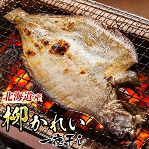 北海道産 柳かれい一夜干し 1尾×3個セット[配送不可地域:離島]