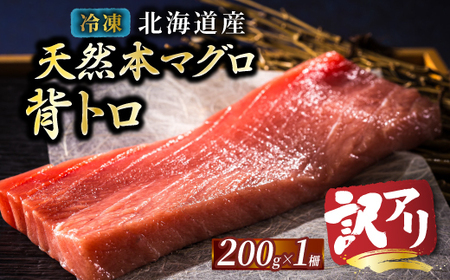 北海道産 天然 本マグロ 背トロ 冷凍 200g × 1柵 (訳あり 筋あり) 国産の本鮪を食卓へ[配送不可地域:離島]