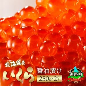ݖЂ(250g×2pbN 500g)×3 kCY̍yzsnFzy1624306z