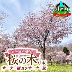 北海道釧路町の桜の木(1本)のオーナー権及びオーナー証[ふるさと納税 自然 保護]