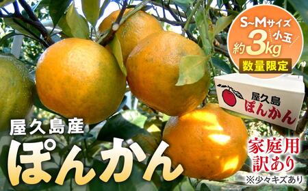 2025年 屋久島産 ぽんかん 家庭用 訳あり 約3kg 小玉(S〜Mサイズ・少々キズあり)[先行予約/数量限定]