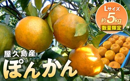 2025年 屋久島産 ぽんかん 約5kg・Lサイズ[先行予約/数量限定]