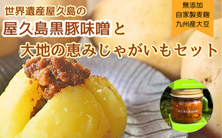 �y2026�N3����{�����甭���z���v���Y���؂̓ؖ��X�Ɖ��v���Y���Ⴊ�����Z�b�g5kg���_��s�g�p��