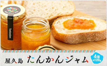 生ジャム 4個セットの返礼品 検索結果 | ふるさと納税サイト「ふるなび」