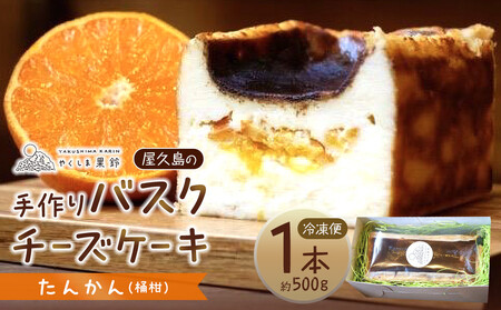 屋久島の手作りバスクチーズケーキ (たんかん) | バスクチーズケーキ バスクチーズケーキ バスクチーズケーキ バスクチーズケーキ バスクチーズケーキ
