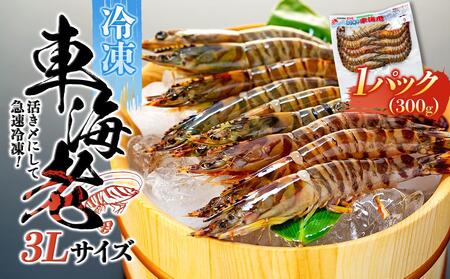 鹿児島県産 活き〆冷凍 車海老（養殖）3Lサイズ 300g（7～9尾）1パック セット