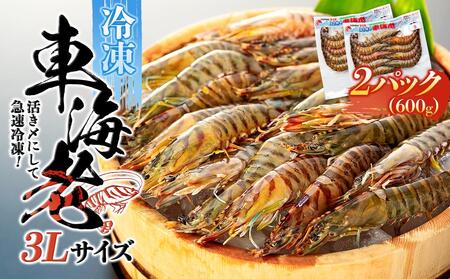 活き〆冷凍 車海老 3Lサイズ 計600g  鹿児島県産 (養殖)【車海老 海老 エビ エビフライ エビチリ えび 魚介類 冷凍 人気 おすすめ お取り寄せ 屋久島】