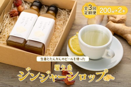 【全3回定期便】屋久島ジンジャーシロップ 大(200ml)×2本セット