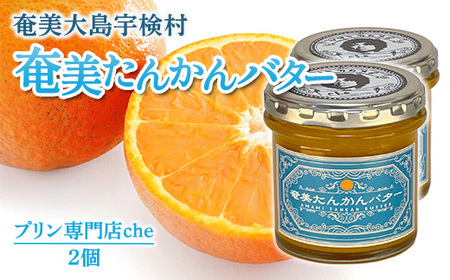 奄美 たんかんバター（2個 240g）たんかん 奄美大島 宇検村 鹿児島 国産バター使用（プリン専門店che)