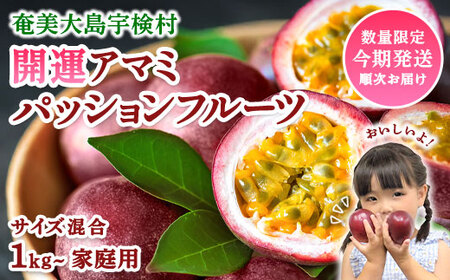 開運 アマミ パッションフルーツ 家庭用 (バラ詰め サイズ混合 1.5kg) [2025年6月中旬〜順次発送]鹿児島県産 国産 奄美大島 宇検村 果物 フルーツ リリコイ 果物時計草 南国 品種 産地直送 農家直送 デザート お取り寄せ 特産品 旬 新物 奄美大島開運酒造 夏 人気
