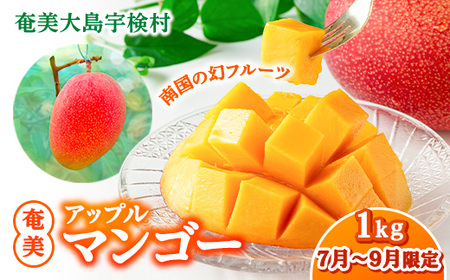[2025年8月発送]今が旬! 完熟 アップル マンゴー 1kg(2〜3玉)モトキ農園 鹿児島県 奄美大島 宇検村 南国 マンゴー フルーツ 果物