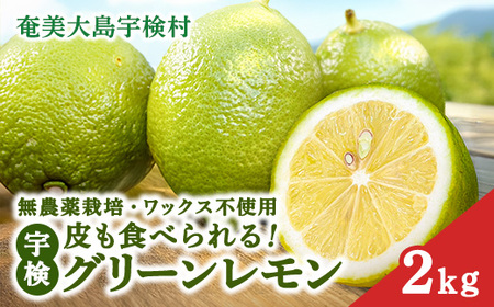 [ふるさと納税]宇検村産 グリーンレモン 2kg 農薬不使用 国産 レモン 皮 可食 [ 期間限定 数量限定 ]れもん 檸檬 柑橘 奄美 宇検村 フルーツ 果物 奄美大島 鹿児島 家庭用 生産者直送 産直