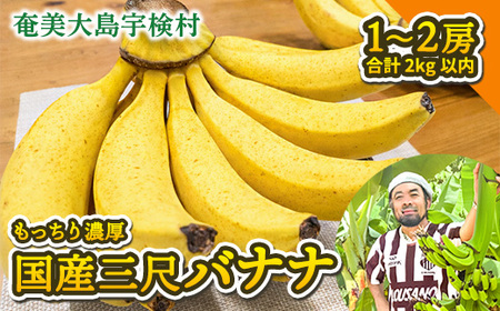 [先行予約]完熟 三尺 バナナ [4月より順次発送]完熟バナナ 国産 フルーツ 果物 奄美大島 宇検村 家庭用 贈答 数量限定 プリン専門店 che
