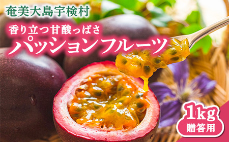 [先行予約]パッションフルーツ 贈答用 (12個入×1箱) [7月〜9月頃出荷開始] リリコイ 果物 フルーツ デザート 人気 南国 デザート 奄美大島 宇検村 鹿児島 滝の園