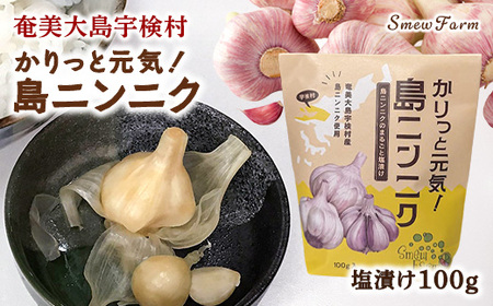 [先行予約][2026年5〜6月頃順次発送予定]カリッと元気!島ニンニク(塩)100g 島ニンニク 塩漬け 無農薬栽培 壺発酵 スタミナ 数量限定 期間限定 宇検村 奄美大島 鹿児島県 送料無料