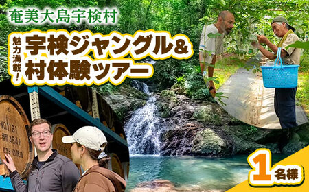 宇検村ジャングル&村体験ツアー 1名様 奄美大島 宇検村 鹿児島県 旅行 自然 冒険 完全プライベート