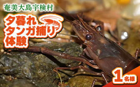 夕暮れタンガ捕り 体験 1名様 奄美大島 宇検村 鹿児島県 旅行 自然 冒険 完全プライベート