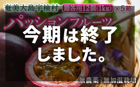 【2025年先行予約】パッションフルーツ 贈答用 (12個入×5箱) 2025年6月～出荷開始 リリコイ 果物 フルーツ デザート 人気 無農薬 無加温 南国 デザート 奄美大島 宇検村 鹿児島