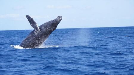 哇@茩zG[EHb`O(6ԁj