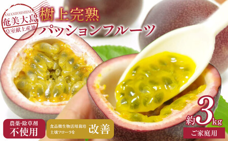 2026年先行受付【農薬・除草剤不使用】奄美大島産樹上完熟パッションフルーツ3kg|パッションフルーツ 果物 くだもの