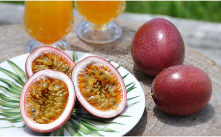 �y2026�N������ ��s��t�z�p�b�V�����t���[�c ���ϔ�15����(�l��)×3���y�����͂�_���z