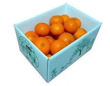 【2027年発送分 先行受付】たんかん ご家庭用バラ詰め3kg×2箱【たけはら農園】