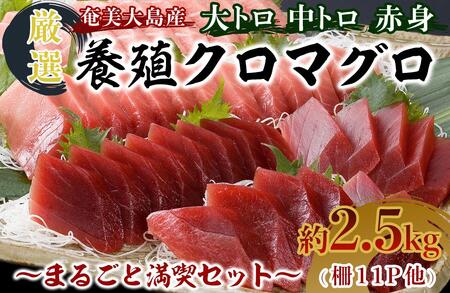 哇Y{BN}O 2.5kgȏ ܂邲ƖiZbg 11P g g Ԑg  zz̐g e Ⓚ