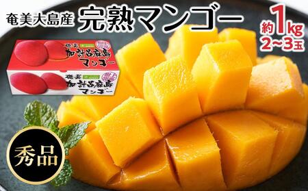 �y2026�N�����z�����哇�Y�@���n�}���S�[ ��1�L���i2�`3�ʁj| �}���S�[