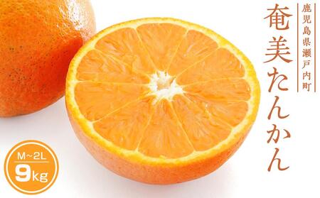 y2026N s\zx_̉񂩂 9kgi3kg×3j