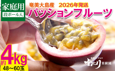 2026NyʎzpbVt[c ƒp 4kg  Q 哇  Y Y ʕ   t[c 썑 gsJ Ẳʎ ʕv 