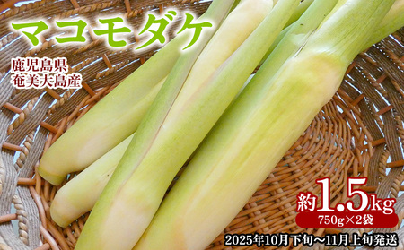 【2025年発送】奄美大島産 マコモダケ 約1.5kg（750g×2袋） 鹿児島県 奄美群島 奄美大島 龍郷町 奄美産 青果 野菜 マコモ マコモタケ マコモズミ 食物繊維 鉄分 カリウム 葉酸 低カロリー 天ぷら 炒め物 お取り寄せ 農家直送 小分け