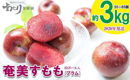 2026年発送[あたり果樹園]奄美大島産 すもも(プラム)約3kg 鹿児島県 奄美群島 奄美大島 龍郷町 国産 奄美産 青果 果物 くだもの フルーツ すもも スモモ プラム 南国 初夏の果実 甘酸っぱい お取り寄せ 先行予約 期間限定 数量限定