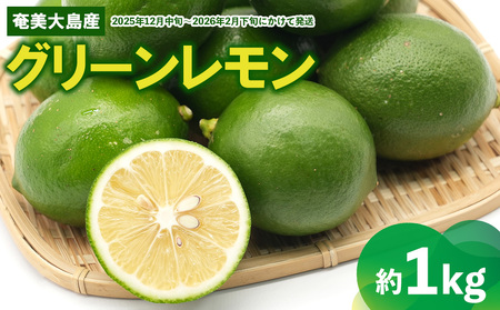 [あたり果樹園]奄美大島産 グリーンレモン 約1kg 鹿児島県 奄美群島 奄美大島 龍郷町 国産 奄美産 青果 果物 くだもの フルーツ レモン れもん 檸檬 ノーワックス フレッシュ まろやかな酸味 南国 お取り寄せ 期間限定 数量限定