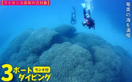 奄美の海を満喫 3ボートダイビング(ランチ付き)[ライセンス保有の方対象] 鹿児島県 奄美群島 奄美大島 龍郷町 ふるさと納税 ダイビング ファン 3ボート Cカード保有者向け マリンスポーツ アウトドア 体験 レジャー 南国 海 サンゴ ウミガメ 熱帯魚 水中写真 癒し