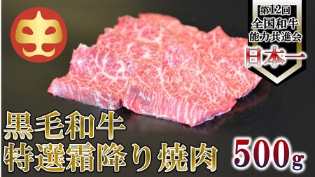 [うしの中山] 霜降り 焼肉用 500g(日付指定不可)
