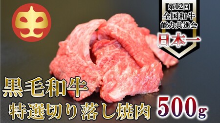 [うしの中山] 切り落とし 焼肉用 500g(日付指定不可)