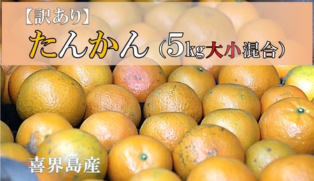 [訳あり]たんかん(5Kg大小混合)[2月上旬頃から発送]