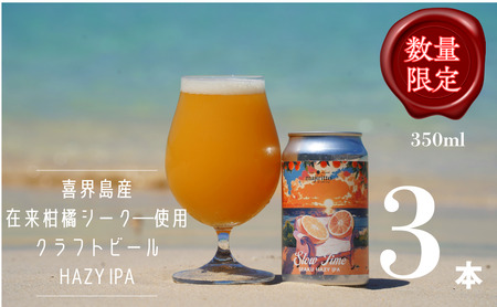 クラフトビールSlow Time 3本 5.5% 350ml