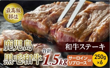 yōʁzјaXe[L@250×6@v1.5Kg@(T[Coru[X)yqz