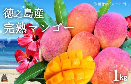 ≪先行予約≫てぃだ（太陽）を浴びて育った徳之島産完熟マンゴー（1kg）( マンゴー フルーツ 果物 完熟 無加温 徳之島 世界自然遺産 美味しい とろける 旬 贅沢 糖度 南の島 )
