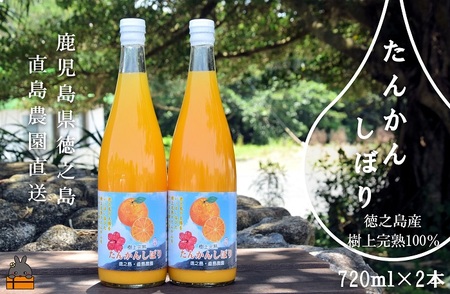 ≪NEW 2024年もぎたて!≫徳之島の直島農園さんのたんかんしぼり(720ml×2本) ( フルーツ ジュース 果汁 果物 柑橘 徳之島 鹿児島 濃厚 贅沢 太陽 恵み 健康 美味しい )