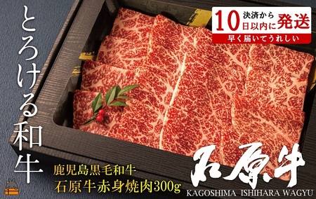 E^gƂ낯ah̐Ό Ԑgē300g ( јa uh  r[t  v~A IKRb_  Mtg V    Ԑg 
