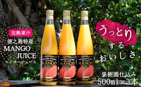 `Ƃ肷邨`Ṽ}S[W[Xi3{ji n}S[ W[X hN t[c ʕ ʏ`  r^~ XC[c ̓   j