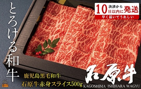 E^gƂ낯ah̐Ό ԐgXCX500g ( јa uh  r[t  v~A IKRb_  Mtg V    Ԑg