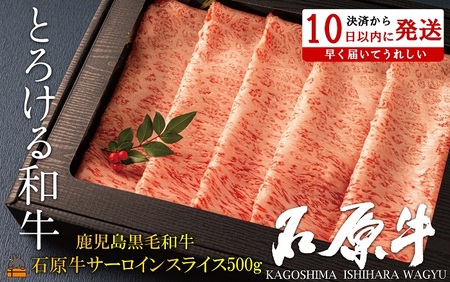 E^gƂ낯ah̐Ό T[CXCX500g ( јa uh  r[t  v~A IKRb_  Mtg V   