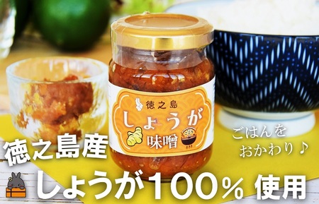 徳之島産しょうが100%使用!ごはんのお供!徳之島しょうが味噌(100ml) ( しょうが 生姜 ショウガ 味噌 お味噌 ごはんのお供 ごはん 調味料 瓶 国産 徳之島 奄美 鹿児島 美味しい )