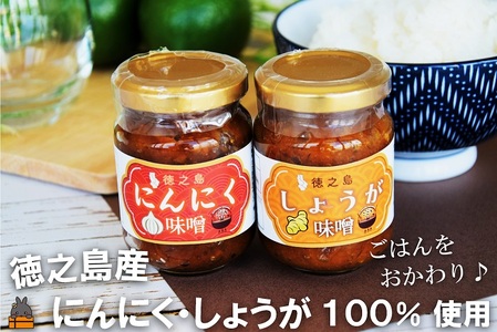 徳之島産にんにく・しょうが100%使用!ごはんのお供!徳之島にんにく味噌&しょうが味噌(100ml×2) ( 生姜 ショウガ 食べ比べ お味噌 ごはんのお供 調味料 瓶 国産 奄美 鹿児島 美味しい )