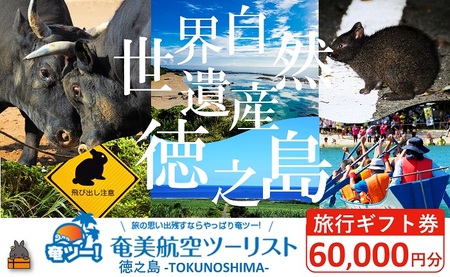 奄美航空ツーリスト徳之島営業所 旅行ギフト券（60,000円分）（ 旅行会社 地元旅行会社 旅行クーポン 航空券 フェリー 徳之島 奄美 鹿児島 世界自然遺産 奄美航空ツーリスト 奄ツー！ 徳之島営業所 旅行パック 飛行機 船 宿泊 ホテル )