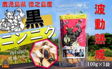 こだわりの波動熟成! 鹿児島県徳之島産黒ニンニク(100g×1袋) ( にんにく ニンニク 熟成 GABA ポリフェノール Sアリルシスティン 健康食品 元気 長寿 徳之島 奄美 鹿児島 世界自然遺産 奄美海援隊 )